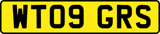 WT09GRS