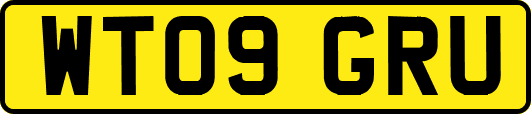 WT09GRU