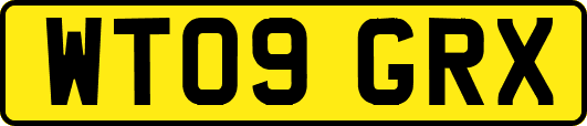 WT09GRX