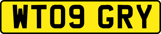 WT09GRY