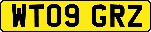 WT09GRZ