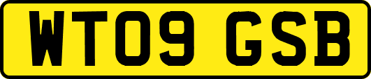 WT09GSB
