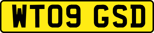 WT09GSD