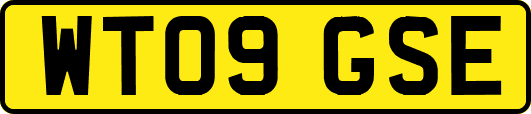 WT09GSE