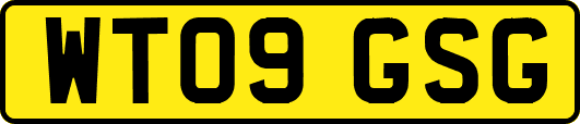 WT09GSG