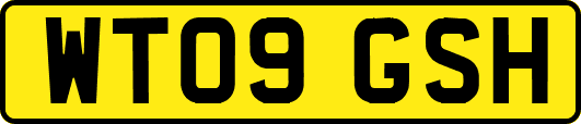 WT09GSH