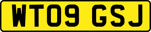 WT09GSJ