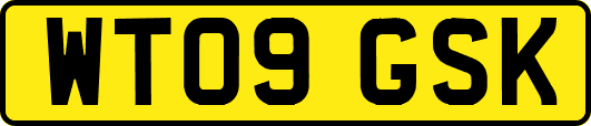 WT09GSK