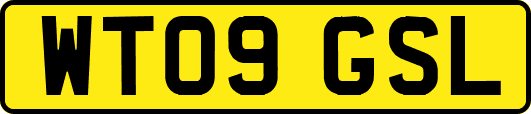 WT09GSL