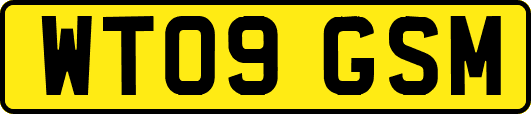 WT09GSM