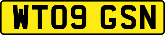 WT09GSN