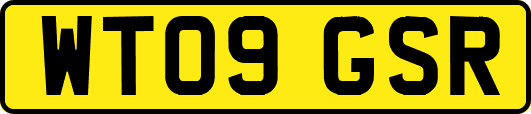 WT09GSR