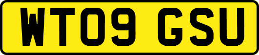 WT09GSU