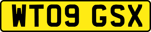 WT09GSX