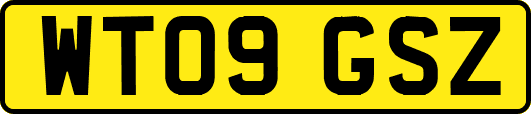 WT09GSZ