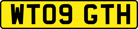 WT09GTH