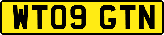 WT09GTN