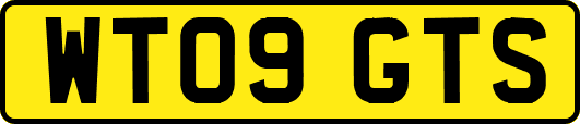 WT09GTS