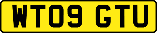 WT09GTU