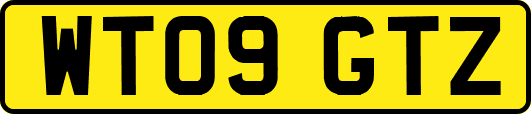 WT09GTZ