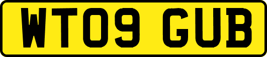 WT09GUB