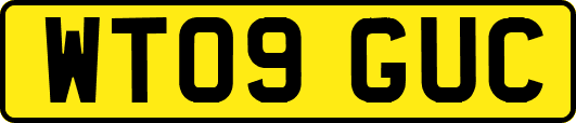 WT09GUC