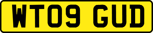 WT09GUD