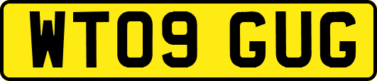 WT09GUG