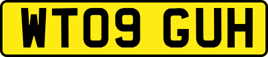 WT09GUH