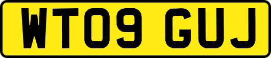 WT09GUJ