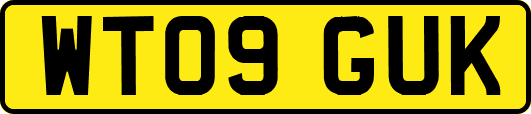 WT09GUK