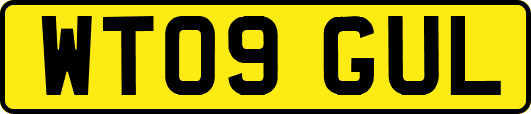 WT09GUL