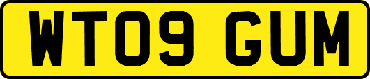 WT09GUM