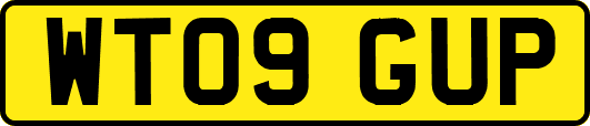 WT09GUP