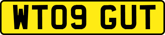 WT09GUT