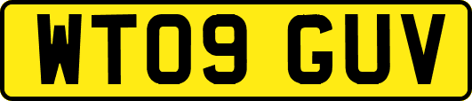 WT09GUV