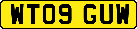 WT09GUW