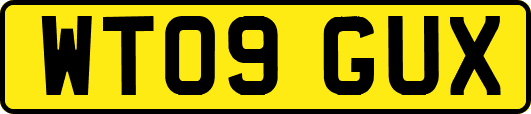 WT09GUX