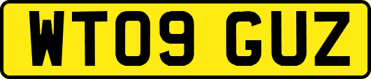 WT09GUZ