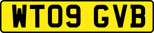 WT09GVB
