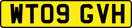 WT09GVH