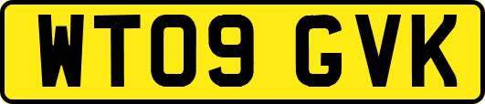 WT09GVK