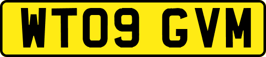 WT09GVM