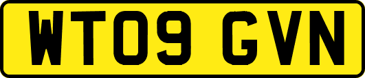 WT09GVN