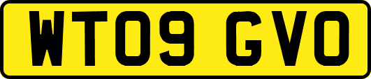 WT09GVO