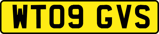 WT09GVS