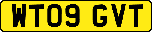WT09GVT