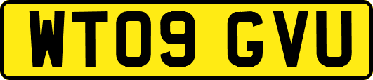 WT09GVU