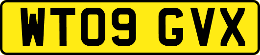 WT09GVX