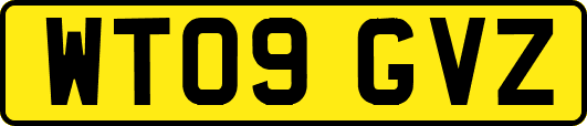 WT09GVZ